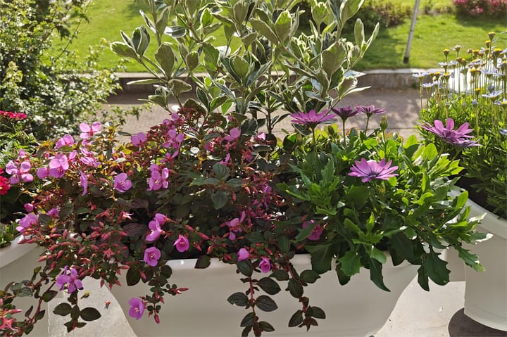 Foto 49 van Phoenixplaats 25