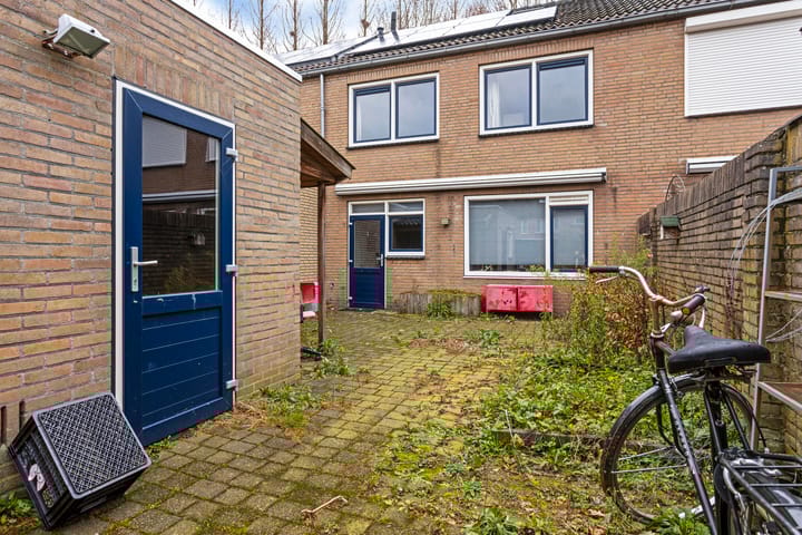 Photo 29 of Hazelaartje 15