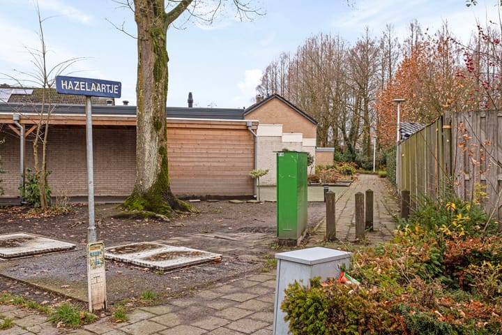 Photo 32 of Hazelaartje 15