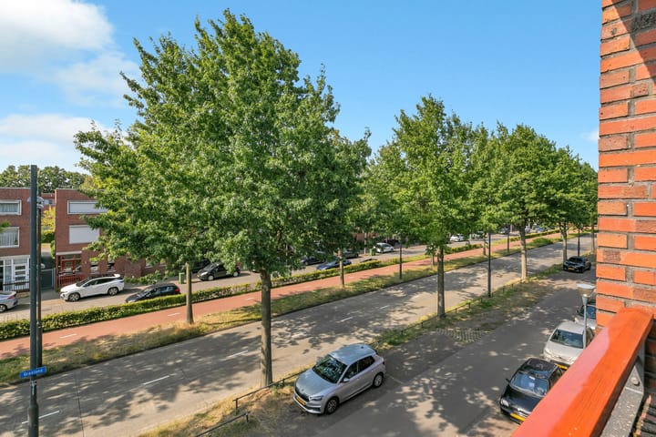 Foto 45 van Grasland 58