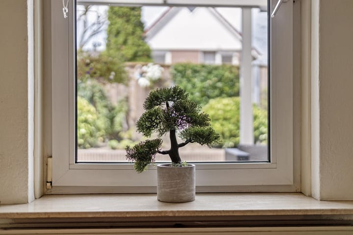 Foto 20 van Dasstraat 52