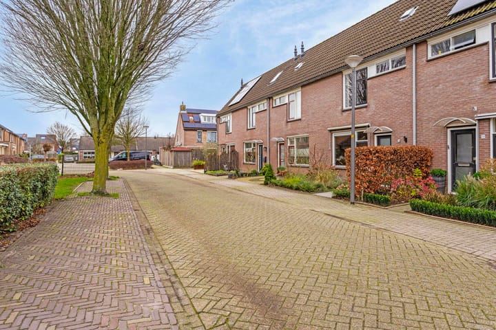 Foto 6 van Vedergras 34