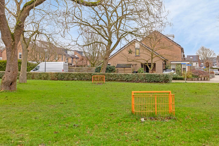 Foto 29 van Vedergras 34