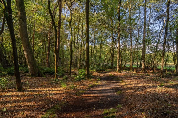 Foto 54 van Hartjesbosweg 6