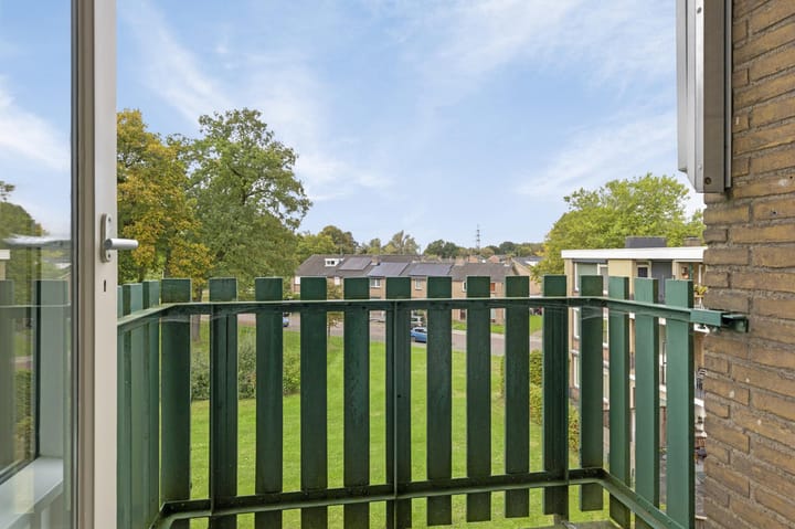 Foto 14 van Roelof van Schevenstraat 133