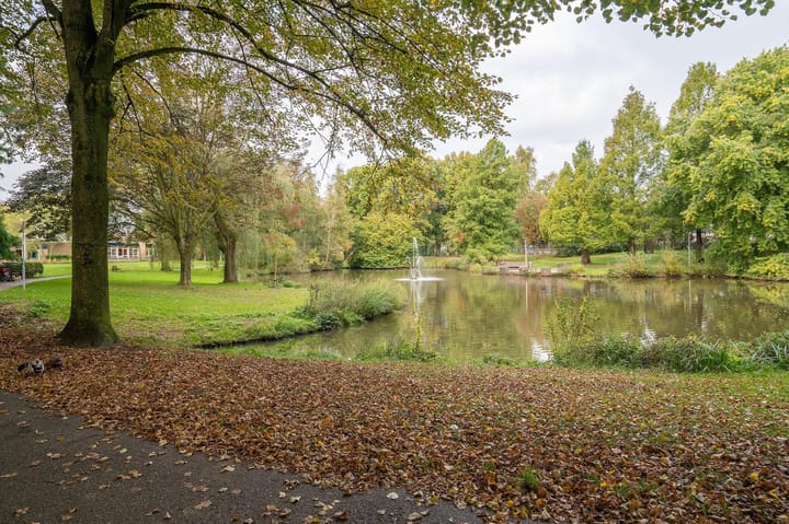 Foto 29 van Johan Buziaustraat 42