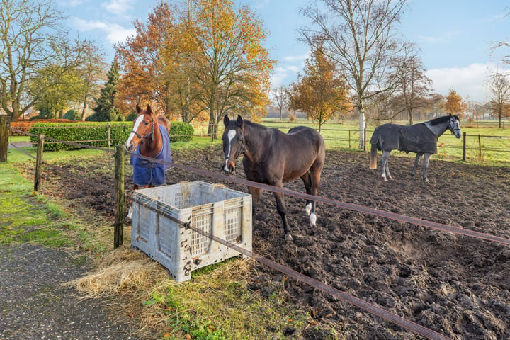 View photo 37 of Nieuwe Berkendijk 10