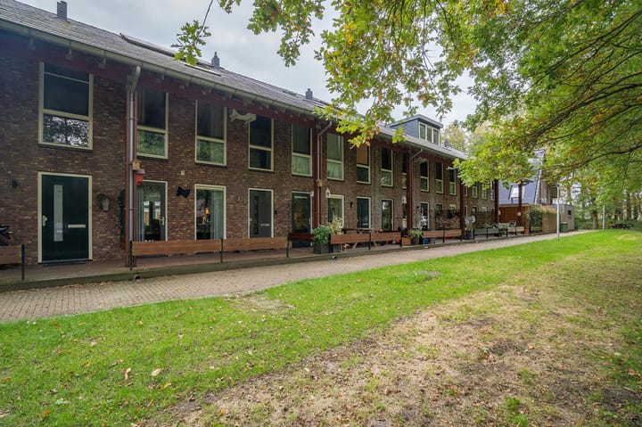 Foto 6 van Avondroodvlinder 76