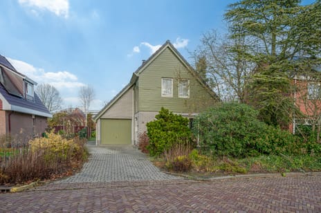 undefined main image