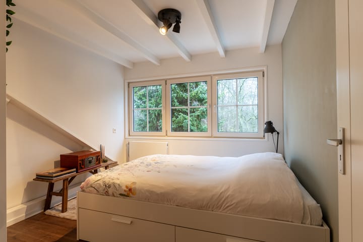 Foto 31 van Buitendijk 8