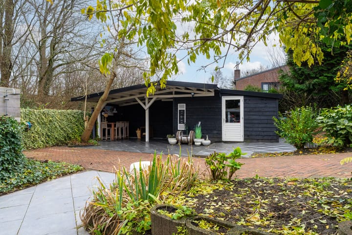 Foto 40 van Buitendijk 8