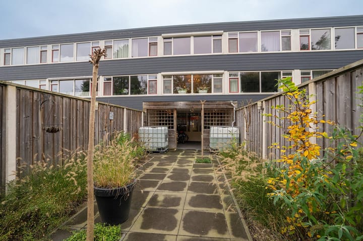 Foto 4 van Ypelobrink 109