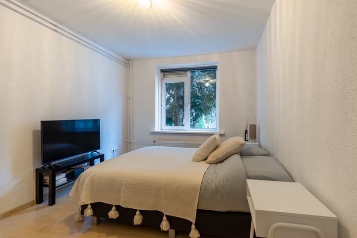 Foto 25 van Mgr. Zwijsenstraat 11