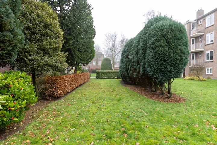 Foto 39 van Mgr. Zwijsenstraat 11