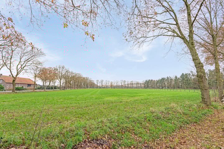 Foto 2 van Grensweg 25