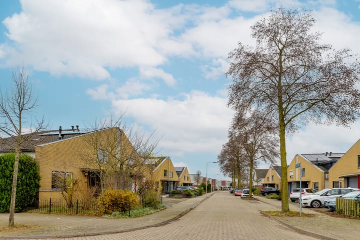 Photo 30 of Mr. Jacob Anton Schorerstraat 42