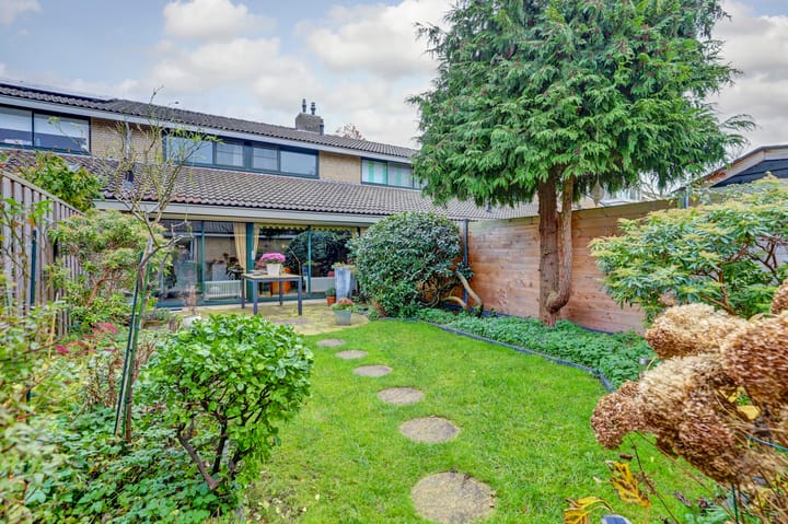 Foto 1 van Waterlelie 45