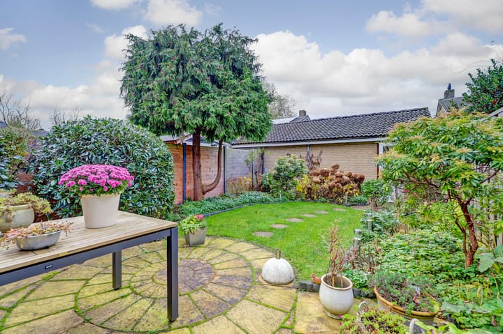 Foto 30 van Waterlelie 45