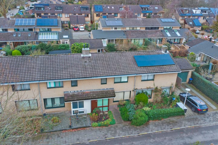 Foto 31 van Waterlelie 45