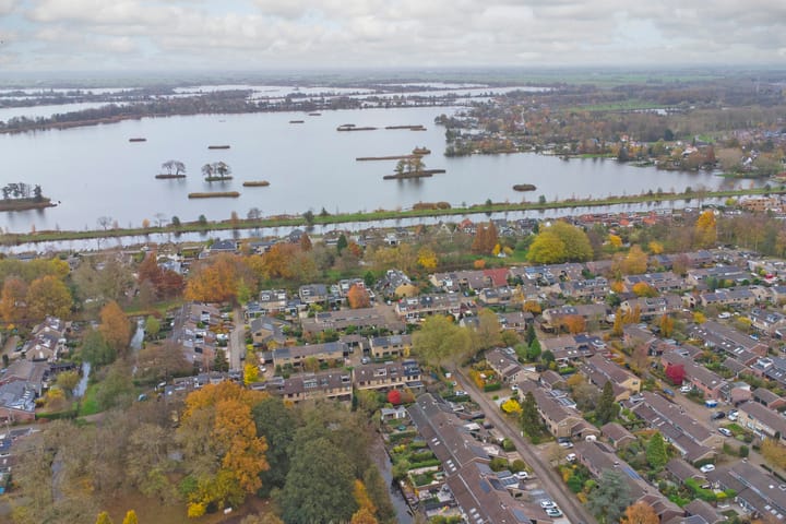 Foto 35 van Waterlelie 45