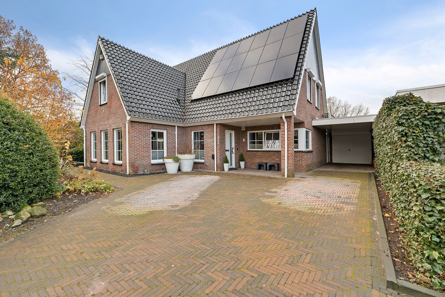 Foto 1 van Blauwe Reiger 5