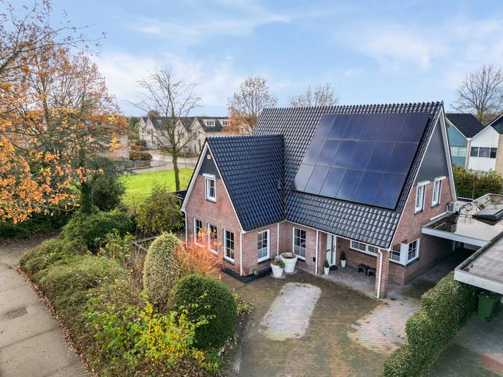 Foto 6 van Blauwe Reiger 5