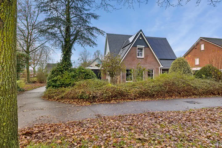 Foto 8 van Blauwe Reiger 5