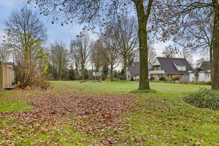 Foto 9 van Blauwe Reiger 5