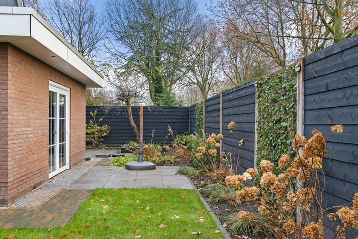 Foto 51 van Blauwe Reiger 5