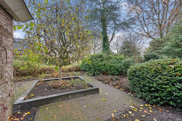 Foto 54 van Blauwe Reiger 5