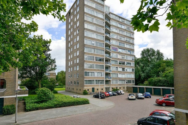 Meander 811