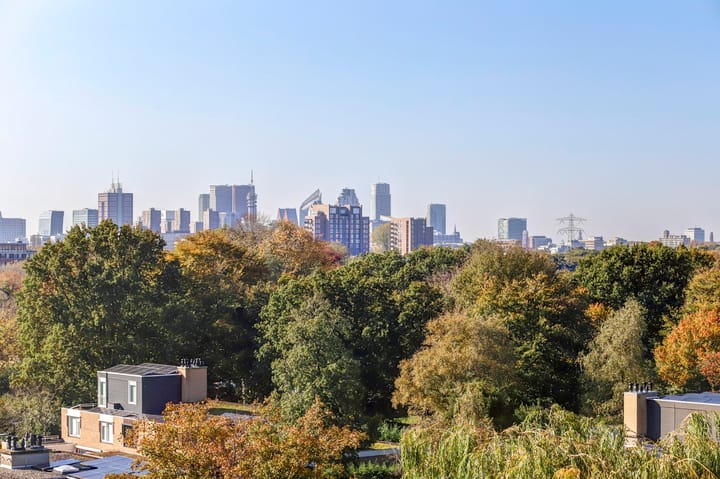 Foto 25 van Tulpentuin 101