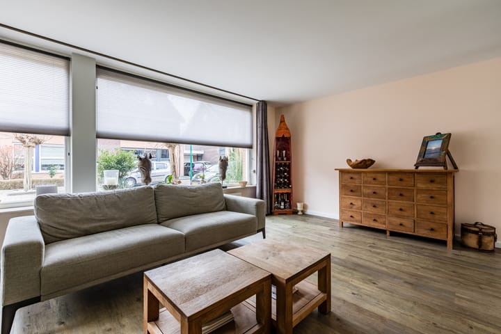 Foto 8 van Pimpernel 6