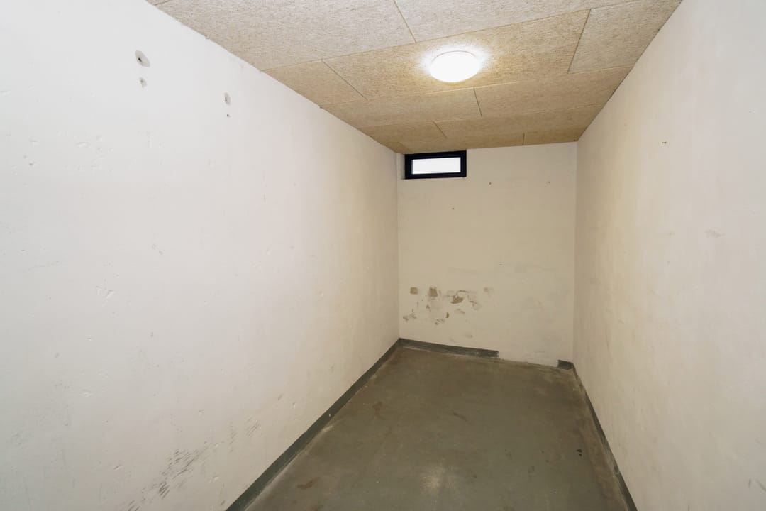 Foto 13 van Stadhoudersplantsoen 180