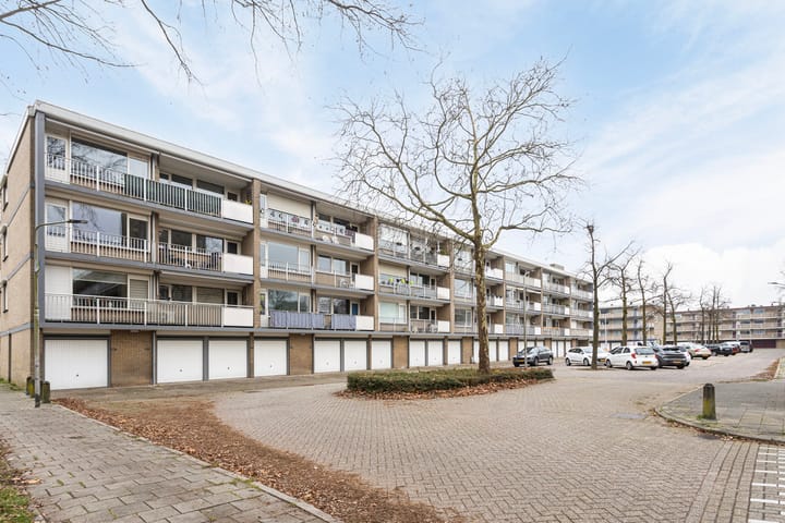 Foto 5 van Malvert 6659