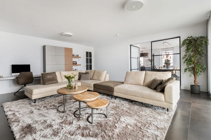 Foto 2 van Campanula 3-46