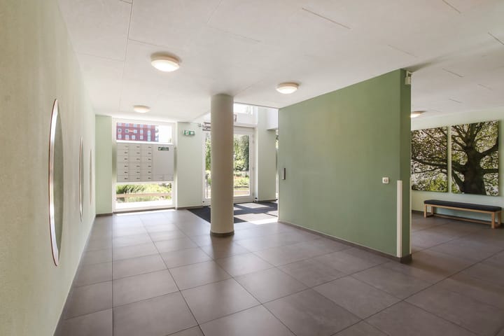 Foto 5 van Campanula 3-46