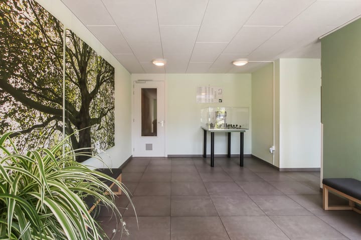 Foto 6 van Campanula 3-46