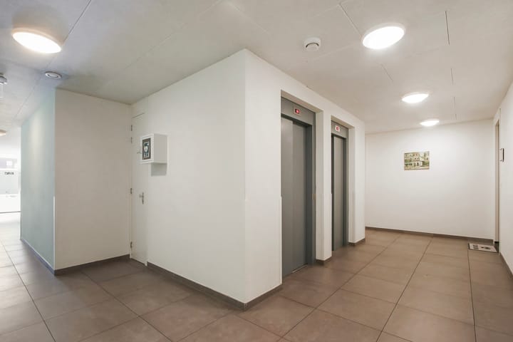 Foto 7 van Campanula 3-46