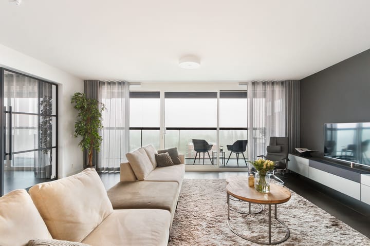 Foto 15 van Campanula 3-46