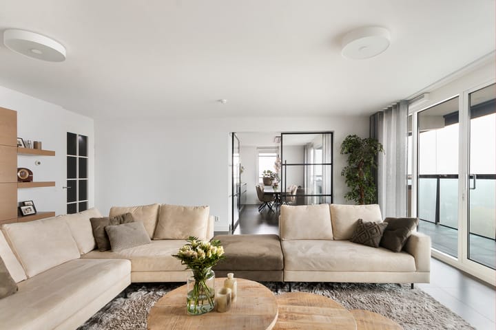 Foto 16 van Campanula 3-46