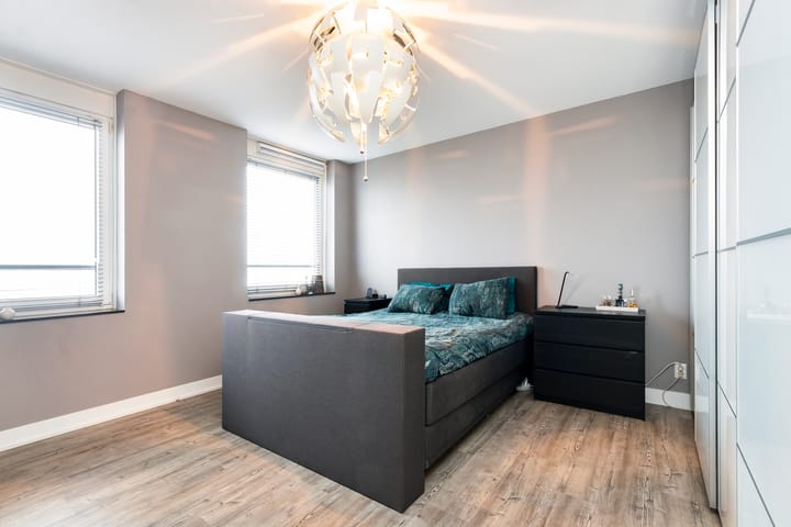 Foto 28 van Campanula 3-46