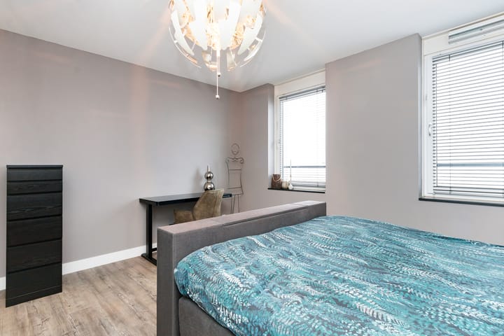 Foto 29 van Campanula 3-46