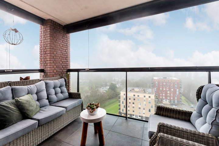 Foto 31 van Campanula 3-46