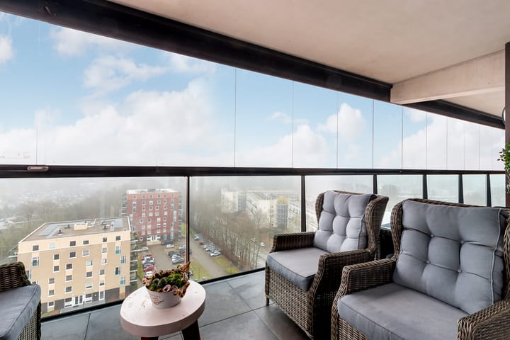 Foto 32 van Campanula 3-46