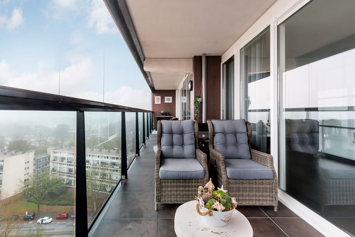 Foto 33 van Campanula 3-46