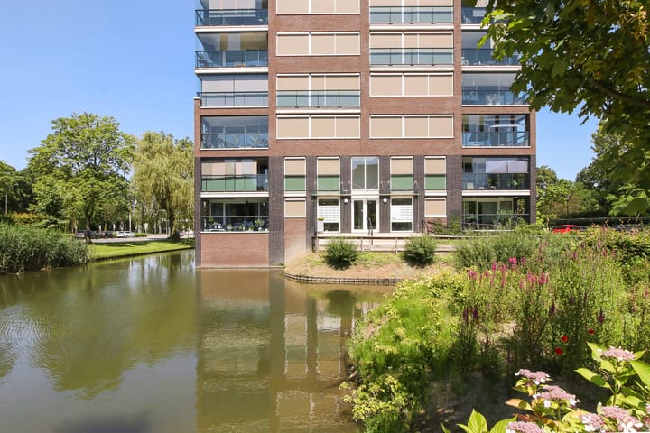 Foto 39 van Campanula 3-46