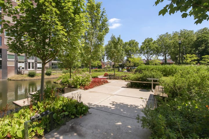 Foto 41 van Campanula 3-46