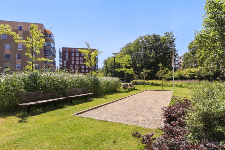 Foto 43 van Campanula 3-46