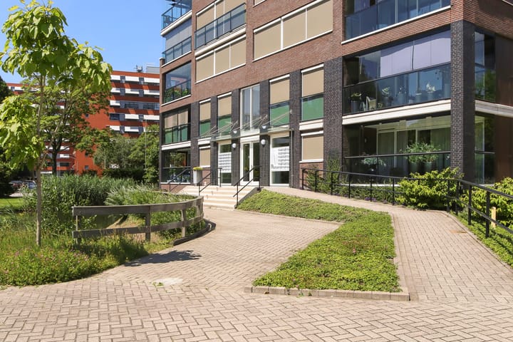 Foto 44 van Campanula 3-46